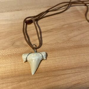 Shark Tooth Necklace
